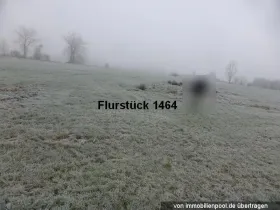 Property land/forestry Foreclosures in Schemmerhofen-Biberach, Germany
