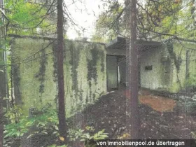 Holiday home Foreclosures in Landkreis Bad Dürkheim-Landkreis Bad Dürkheim, Germany