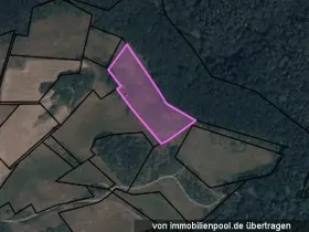 1 - Grundstück Land-/Forstwirtschaft Zwangsversteigerungen in Hintertiefenbach-Birkenfeld, Deutschland