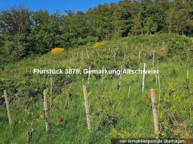 1 - Eiendom land / skogbruk Foreclosures i Bühl-Kappelwindeck, Tyskland 1 - Eiendom land / skogbruk Foreclosures i Bühl-Kappelwindeck, Tyskland