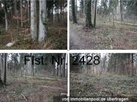 Propriedade da terra / florestal Lauchringen Leilão / Foreclosure Alemanha | 2