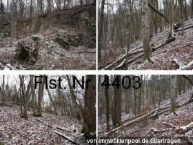 Propriedade da terra / florestal Lauchringen Leilão / Foreclosure Alemanha | 3