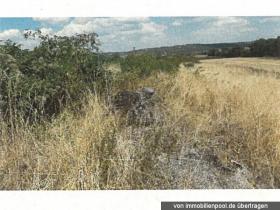 1 - Eiendom land / skogbruk Foreclosures i Engelstadt-Alzey-Worms, Tyskland 1 - Eiendom land / skogbruk Foreclosures i Engelstadt-Alzey-Worms, Tyskland