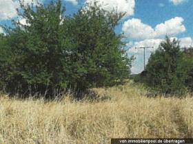 1 - Eiendom land / skogbruk Foreclosures i Engelstadt-Alzey-Worms, Tyskland 1 - Eiendom land / skogbruk Foreclosures i Engelstadt-Alzey-Worms, Tyskland