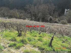 Propiedad de la tierra / forestal Oberdiebach Subasta / Foreclosure Alemania | 2