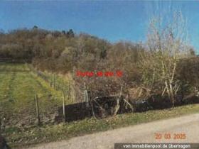 Propiedad de la tierra / forestal Oberdiebach Subasta / Foreclosure Alemania | 3