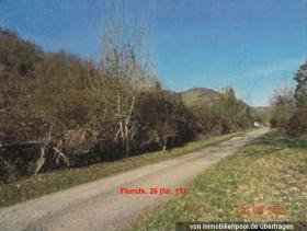 Propiedad de la tierra / forestal Oberdiebach Subasta / Foreclosure Alemania | 4