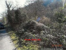 Propiedad de la tierra / forestal Oberdiebach Subasta / Foreclosure Alemania | 6