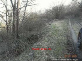 Propiedad de la tierra / forestal Oberdiebach Subasta / Foreclosure Alemania | 7