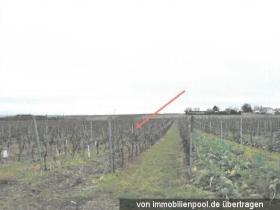 Propiedad de la tierra / forestal Ejecuciones hipotecarias en Bermersheim-Alzey-Worms, Alemania Propiedad de la tierra / forestal Ejecuciones hipotecarias en Bermersheim-Alzey-Worms, Alemania