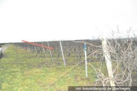 Propiedad de la tierra / forestal Ejecuciones hipotecarias en Bermersheim-Alzey-Worms, Alemania Propiedad de la tierra / forestal Ejecuciones hipotecarias en Bermersheim-Alzey-Worms, Alemania