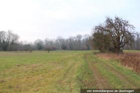 сельское хозяйство Карлсруэ Аукцион / выкупа Германия | AG KA 2 K 36-24 Landwirtschaftsweg als Abzweig vom ...