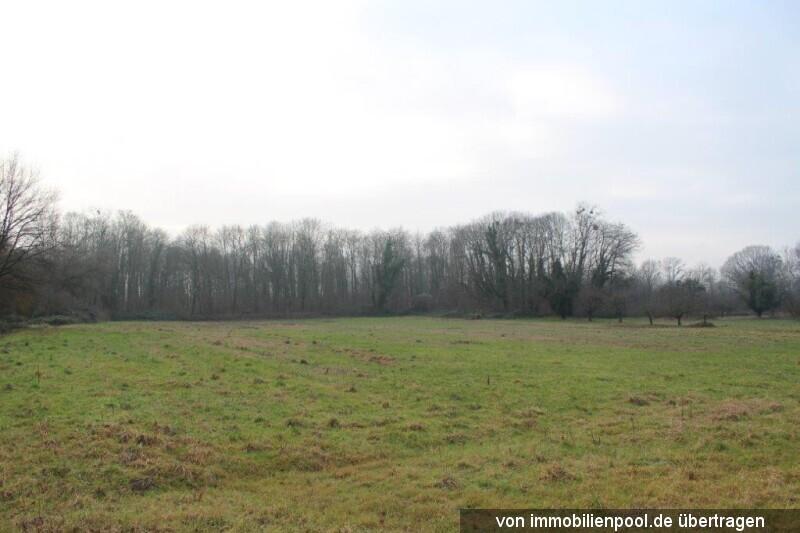 AG KA 2 K 36-24 II - Kopie - Kopie