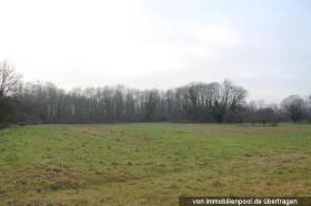 сельское хозяйство Карлсруэ Аукцион / выкупа Германия | AG KA 2 K 36-24 II - Kopie - Kopie