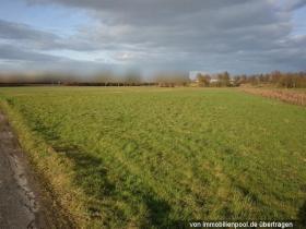 Propiedad de la tierra / forestal Ejecuciones hipotecarias en Bühl-Kappelwindeck, Alemania Propiedad de la tierra / forestal Ejecuciones hipotecarias en Bühl-Kappelwindeck, Alemania