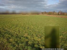 Proprietà terreni / forestale Bühl Asta / preclusione Germania | 2