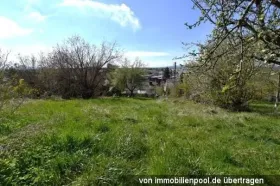 Propriedade da terra / florestal Foreclosures em Denzlingen-Emmendingen, Alemanha