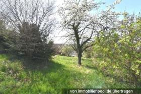 Property land/forestry Denzlingen Auction / Foreclosure Germany | 2