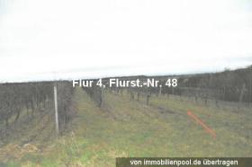 Property land/forestry Foreclosures in Bermersheim-Alzey-Worms, Germany