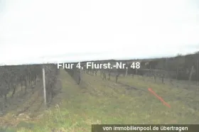 Собственность земли / лесной Выкупа в Бермерсхайм-Альцай-Вормс, Германия