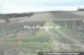 Property land/forestry Foreclosures in Bermersheim-Alzey-Worms, Germany