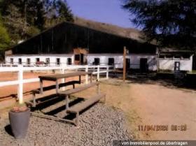 Investimento Waldbreitbach Leilão / Foreclosure Alemanha | 2