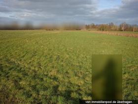 Proprietà terreni / forestale Bühl Asta / preclusione Germania | 2