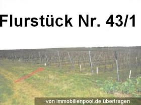 土地 农业/林业 取消抵押品赎回权 于 贝尔默斯海姆-阿尔蔡-沃尔姆斯, 德国