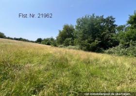 Propriedade da terra / florestal Pforzheim Leilão / Foreclosure Alemanha | 3