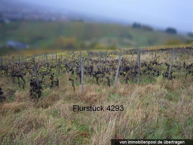 Proprietà terreni / forestale Bühl Asta / preclusione Germania | 2