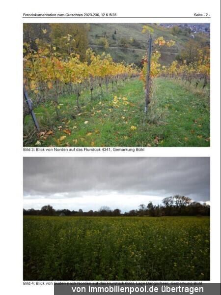 Proprietà terreni / forestale Bühl Asta / preclusione Germania | 3