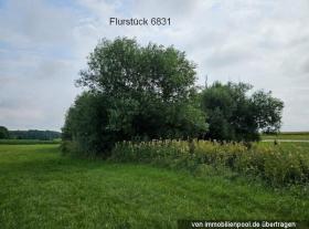 公寓住宅 瓦尔登  德国 | 5