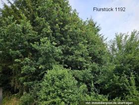 公寓住宅 瓦尔登  德国 | 7