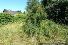 منزل مكون من أسرتين Gusterath  ألمانيا | 4