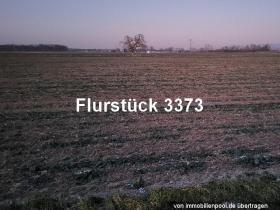 Odvojena kuća Kappel-Grafenhausen Ovršna dražba Njemačka | 3