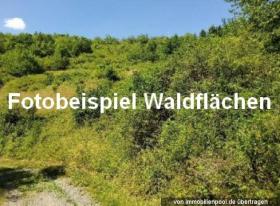 Vivienda unifamiliar Unkenbach Subasta judicial Alemania | 4