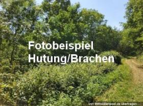 Vivienda unifamiliar Unkenbach Subasta judicial Alemania | 5
