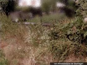 园艺 西默恩 司法拍卖 德国 | 2