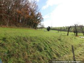 Property land/forestry Foreclosure Auction in Lörrach, Germany