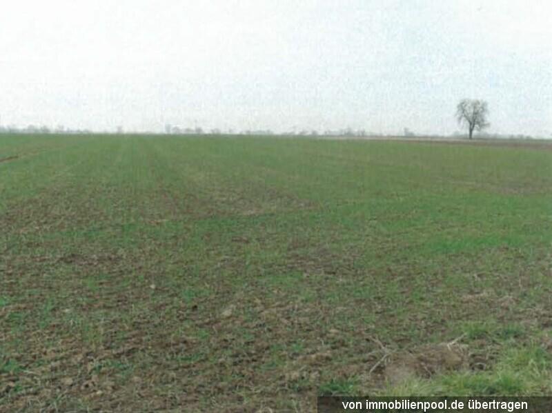 Eiendom land / skogbruk Meckenheim Tvangsauksjon Tyskland | 2