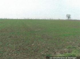 Eiendom land / skogbruk Meckenheim Tvangsauksjon Tyskland | 2