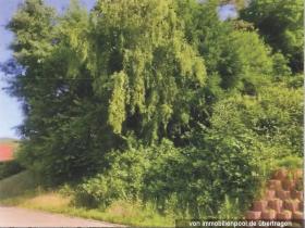 Tomter Tvangsauksjon i Linden, Tyskland Tomter Tvangsauksjon i Linden, Tyskland