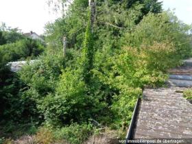 منزل منفصل Rehlingen-Siersburg مزاد قضائي ألمانيا | 4