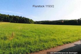Property land/forestry Foreclosure Auction in Engstingen-Großenstingen, Germany