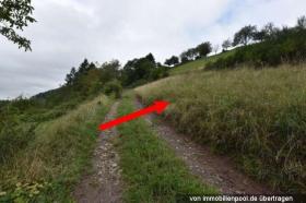 Nekretnine zemljišta / šumarstvo Ovršna dražba u Freiamt-Emmendingen, Njemačka