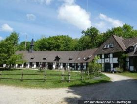 骑马场 司法拍卖 于 施普林格-汉诺威地区, 德国