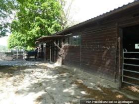 Riding stables Springe Foreclosure Auction Germany | 8