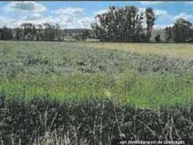 Собственность земли / лесной Дудерштадт Судебные торги Германия | 2