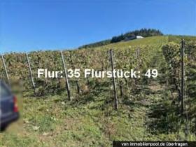 Parcelas Leilão judicial em Enkirch, Alemanha