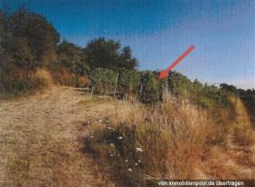 Nekretnine zemljišta / šumarstvo Ovršna dražba u Grünstadt-Landkreis Bad Dürkheim, Njemačka